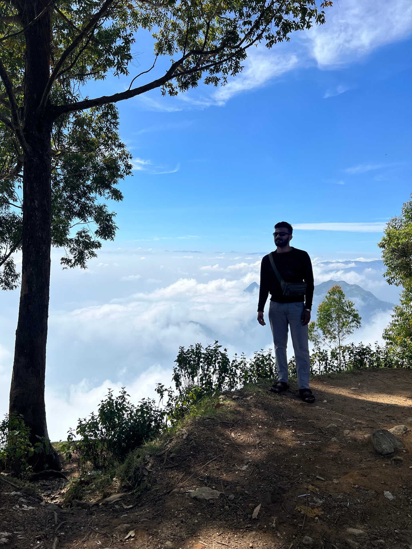 Kodai Detox