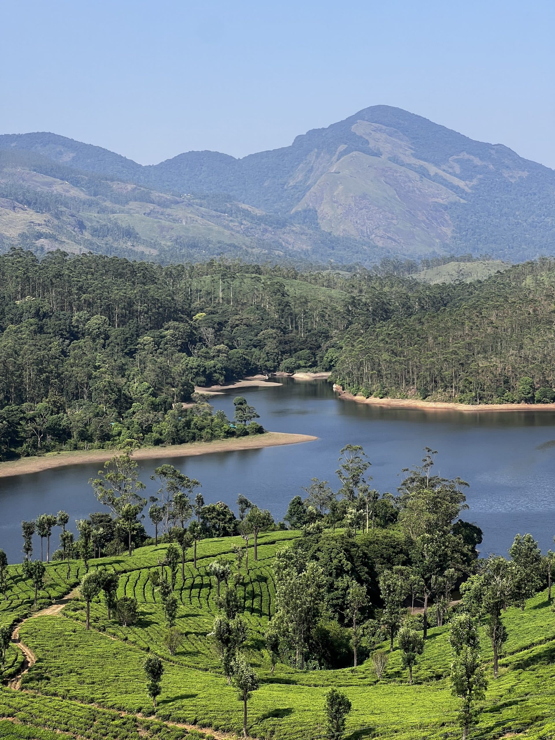 Munnar Vagamon Detox