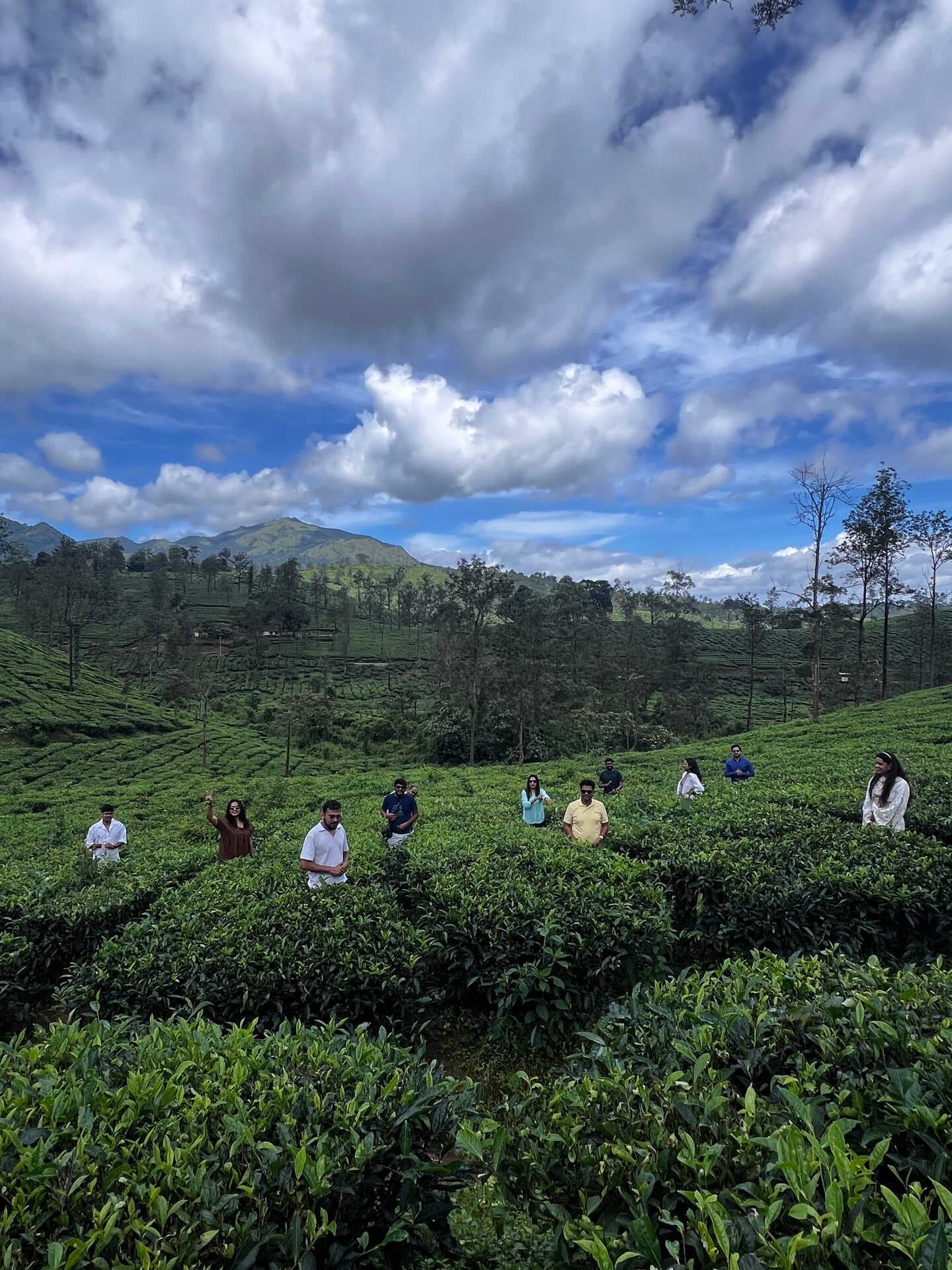 Coorg Detox